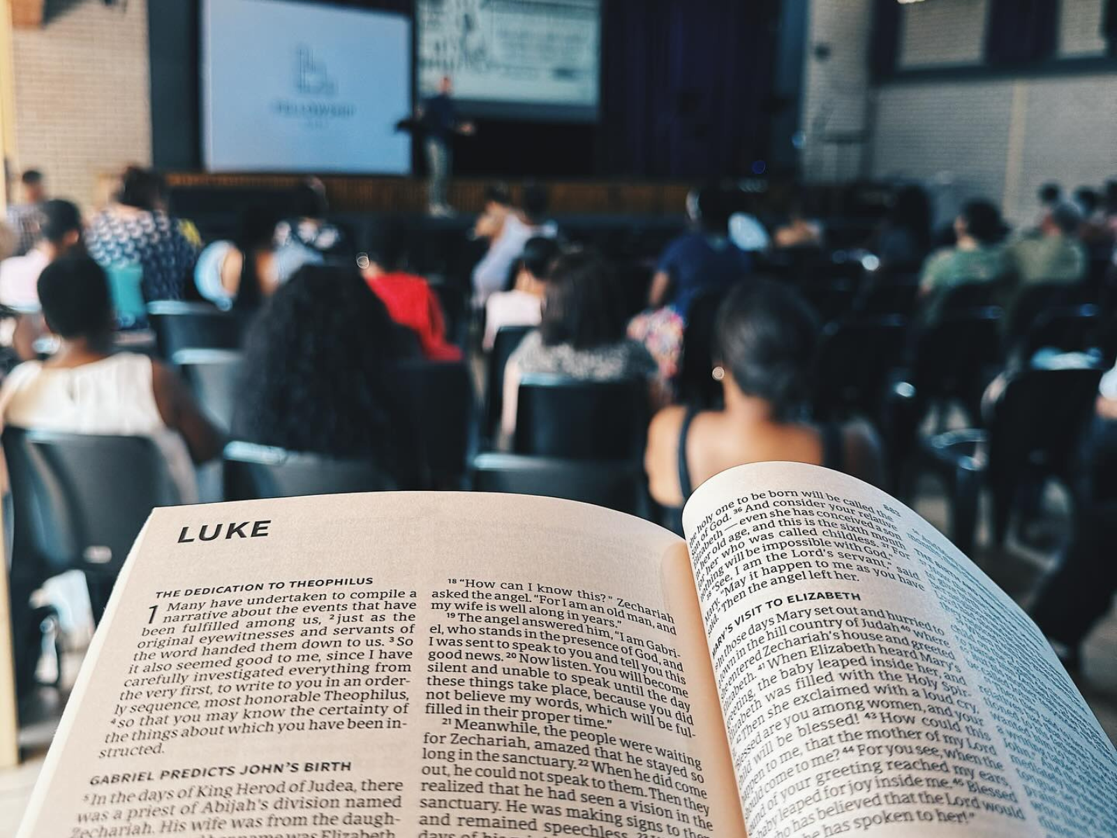 Bible Book